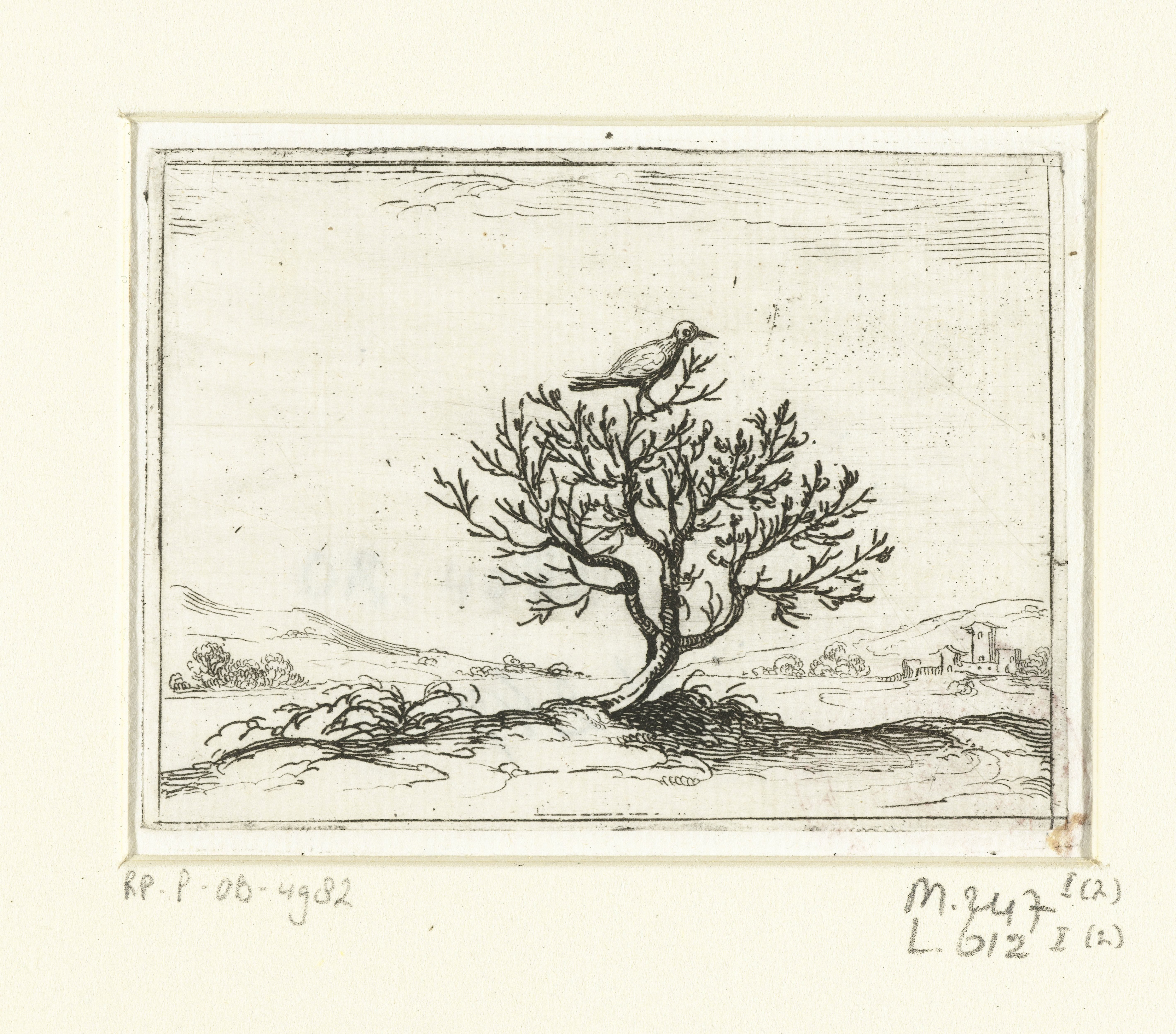 Nachtigall, Rijksmuseum Amsterdam